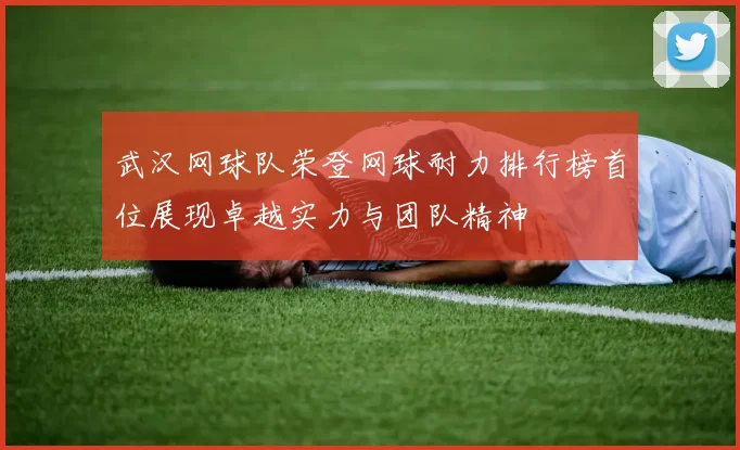 武汉网球队荣登网球耐力排行榜首位展现卓越实力与团队精神