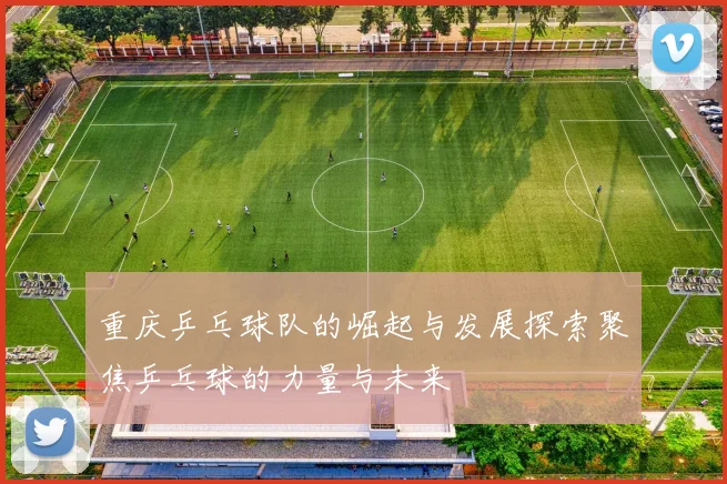 重庆乒乓球队的崛起与发展探索聚焦乒乓球的力量与未来