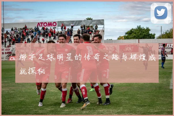 柳字足球明星的传奇之路与辉煌成就探秘