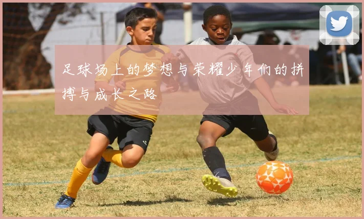 足球场上的梦想与荣耀少年们的拼搏与成长之路