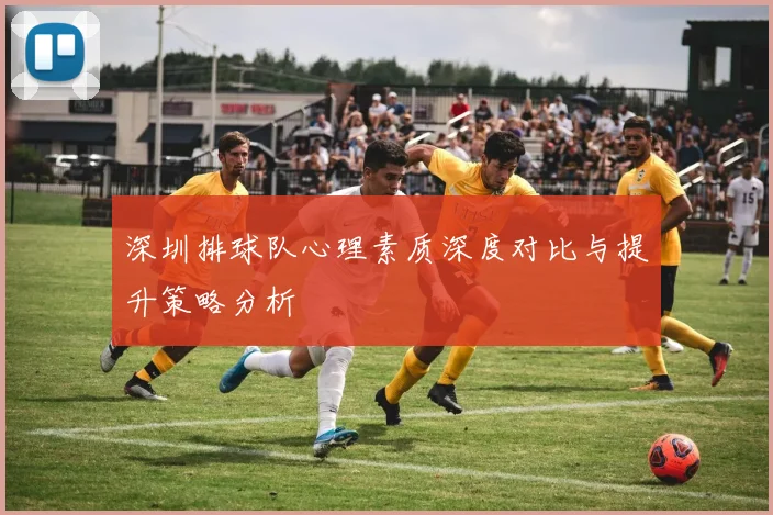 深圳排球队心理素质深度对比与提升策略分析