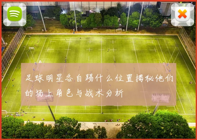 足球明星各自踢什么位置揭秘他们的场上角色与战术分析
