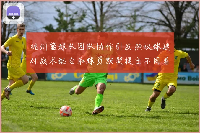 杭州篮球队团队协作引发热议球迷对战术配合和球员默契提出不同看法