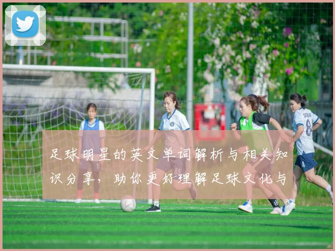 足球明星的英文单词解析与相关知识分享，助你更好理解足球文化与语言魅力