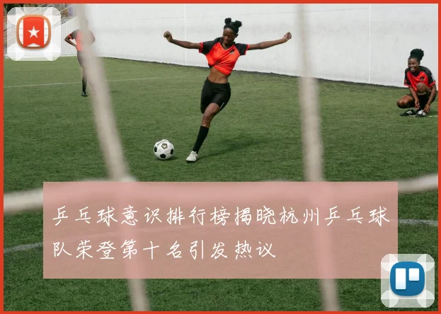 乒乓球意识排行榜揭晓杭州乒乓球队荣登第十名引发热议