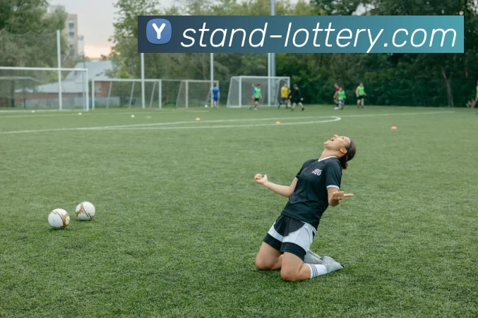 足彩网发展历程